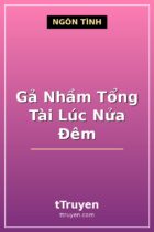 Gả Nhầm Tổng Tài Lúc Nửa Đêm