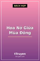 Hoa Nở Giữa Mùa Đông