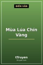 Mùa Lúa Chín Vàng
