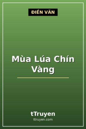 Mùa Lúa Chín Vàng